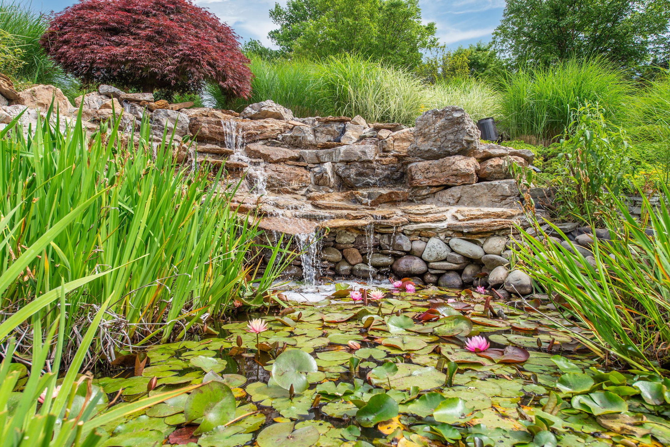 A stone waterfall spilling into a lily pond on private estate grounds